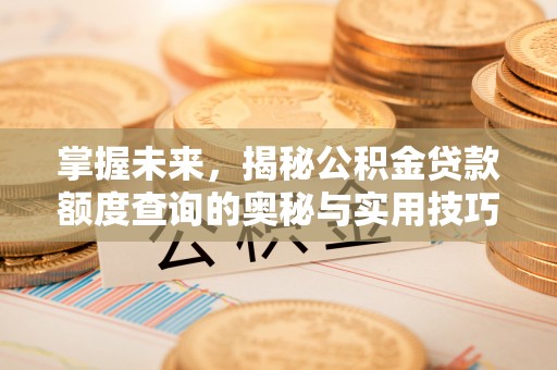 梧州掌握未来，揭秘公积金贷款额度查询的奥秘与实用技巧