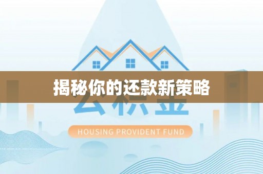 梧州揭秘你的还款新策略