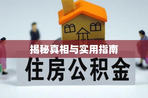 梧州揭秘真相与实用指南