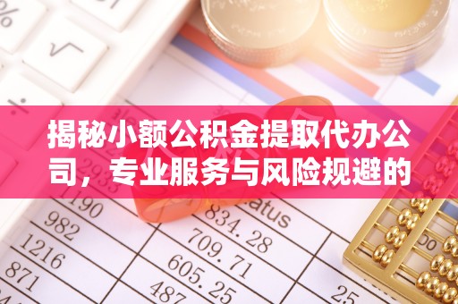 梧州揭秘小额公积金提取代办公司，专业服务与风险规避的平衡艺术