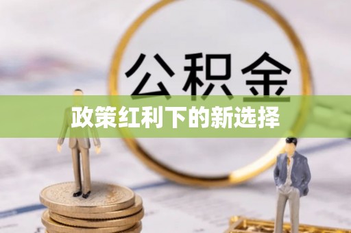 梧州政策红利下的新选择