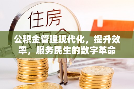 梧州公积金管理现代化，提升效率，服务民生的数字革命