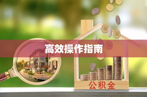 梧州高效操作指南